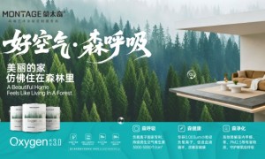 蒙太奇艺术漆：产品技术特点与加盟服务体系解读