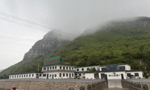 渡口三年陈酿：解读零添加固态发酵食醋的配料逻辑
