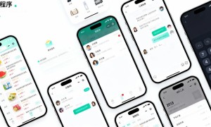 中小企业小程序开发完整指南：从零基础到精细化运营