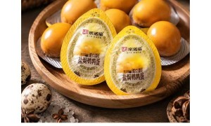 南诺信：盐焗潮卤肉制品供应链的行业观察