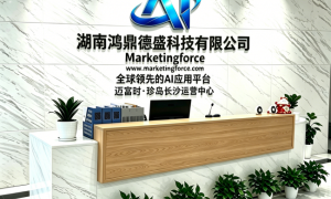 长沙GEO优化落地：鸿鼎德盛护航企业AI搜索认知