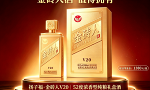 扬子福金砖人V20年货礼赠测评：品质与体面兼具